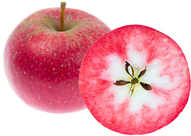 apple-rosette-bred