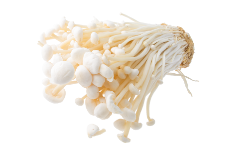 enoki