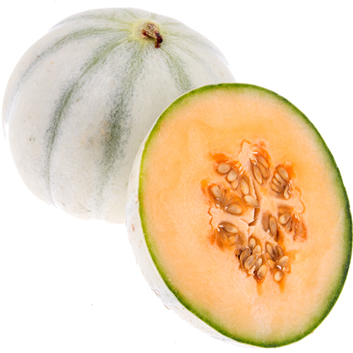 melon-charentaise