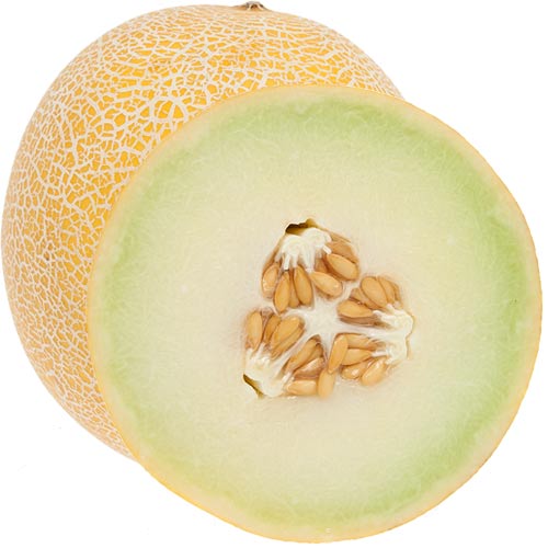 melon-galia