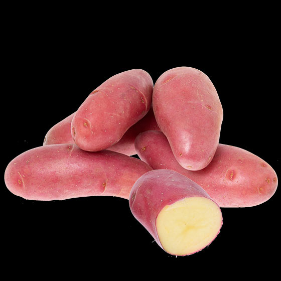 potatis-cherie