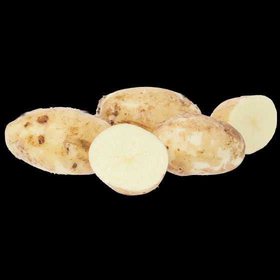 potatis-farsk-magda