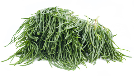 agretti-dreamstime_xs_23860686