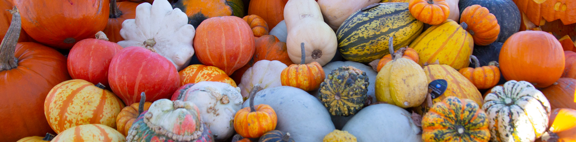 pumpa2018-2