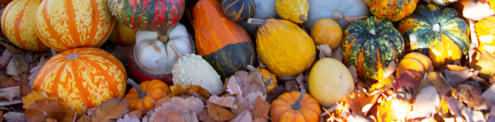 pumpa2018-3